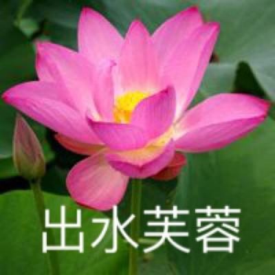 暗黑群侠传gm版变态版下载